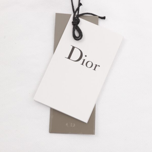 Dior/Dior 24Fw painted splashed ink letter printed round neck hoodie - Image 10